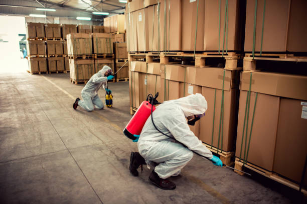 Best Pest Removal Services  in Saxapahaw, NC