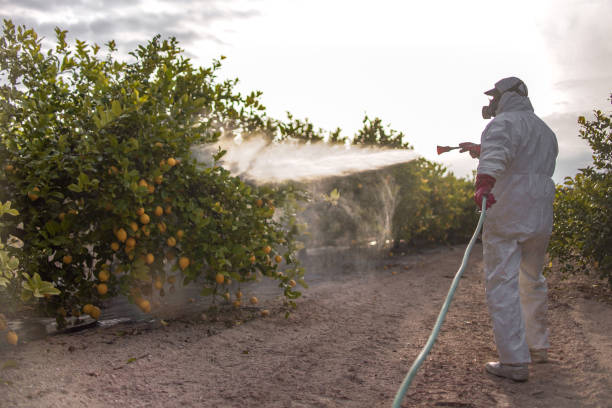 Best Pest Inspection Near Me  in Saxapahaw, NC
