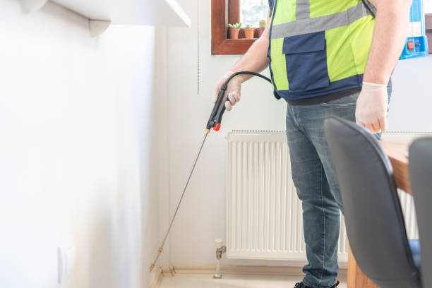 Best Mosquito Control Services  in Saxapahaw, NC