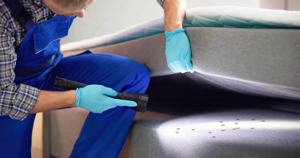 Best Pest Control Near Me  in Saxapahaw, NC