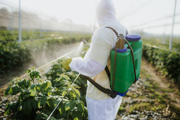 Wildlife Control Services in Saxapahaw, NC